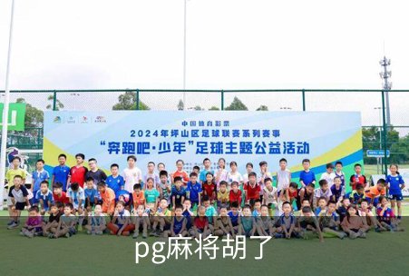 了解pg麻将胡了